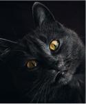 Фотография olga.topko