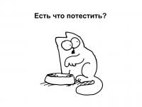 Фотография PSorokin